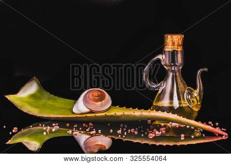 Aloe Vera Leaf, Bottle Of Oil, Snail, Sea Salt On A Black Background With Reflection And Copy Space.