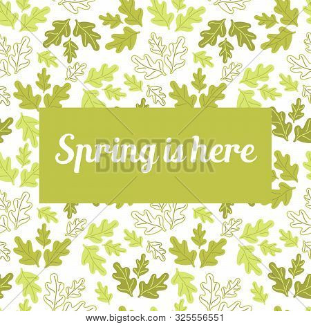 Spring Is Here . Doodle Hand Drawing Green Oak Leaves On White Background.