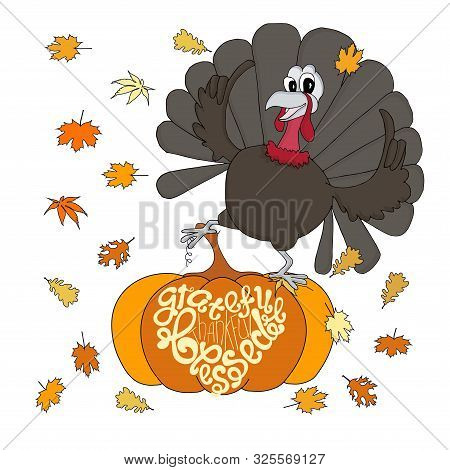 Turkey Dancing On Orange Pumpkin, Lettering Grateful Thanksful Blessed Falling Leaves Cartoons Art D