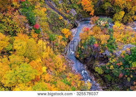 Aerial view of Autumn Fall Landscape of Forest and woods with river over Jogakura Ohashi Bridge in Aomori Tohoku Japan