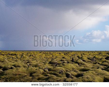 Campo de pedra Islandês