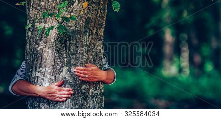 woman hand embracing a tree in the forest - nature loving, fight global warming
