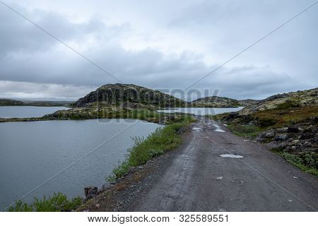 Murmansk, Algae Thrown Surf, Shore Of The Arctic Ocean, Sredniy Peninsula
