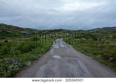 Murmansk, Algae Thrown Surf, Shore Of The Arctic Ocean, Sredniy Peninsula