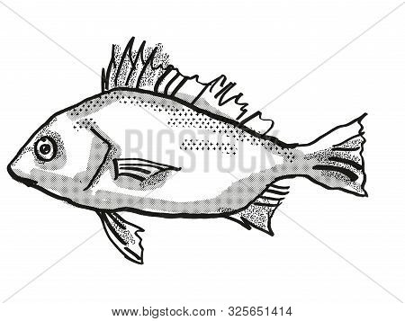 Retro Cartoon Style Drawing Of A Silver Javelin , A Native Australian Marine Life Species Viewed Fro