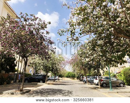 Holon, Israel  April 02, 2019: Private Houses, Trees And Streets In Holon, Israel.