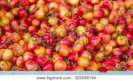 A Bin Full Of Fresh Cherries With Stems. Good For Marketing Or Backgrounds