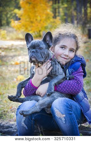 In The Autumn Forest, A Little Girl Holds A French Bulldog In Her Arms. She Is Happy, Hugs Him.
