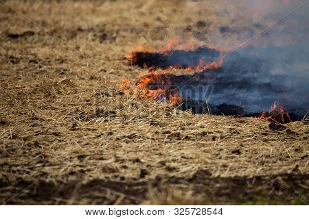 Dry Forest And Steppe Fires Completely Destroy Fields And Steppes During Severe Drought. Disaster Ca