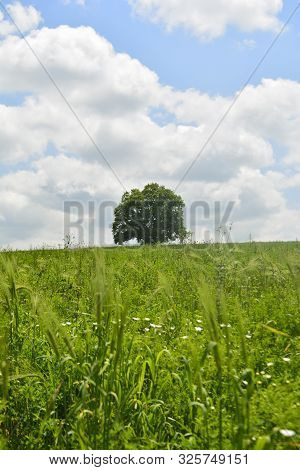 Landscape Field With Distant Mountain Smayilli Azerbaijan