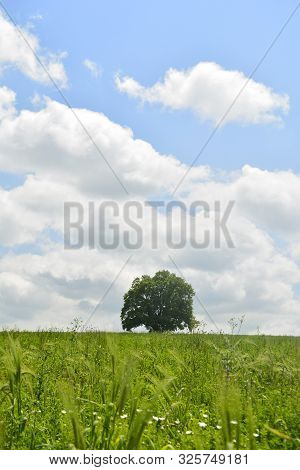 Landscape Field With Distant Mountain Smayilli Azerbaijan