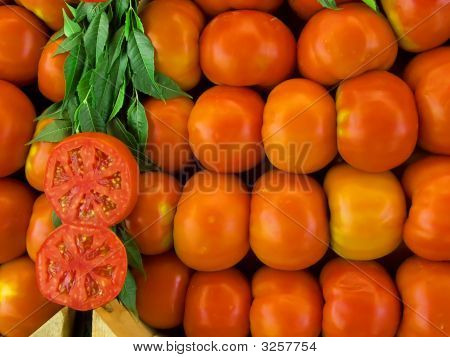 토마토