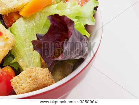 大胆的颜色，要吞噬