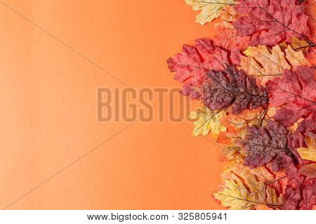 Autumn Colorful Leaves On Orange Background. Fall Orange, Red, Yellow Leaves.