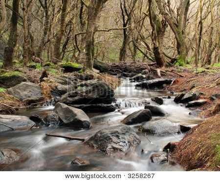Creek w Gorge