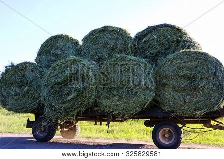 Tractor Driven Fresh Hay Rolled, After Seasonal Harvesting