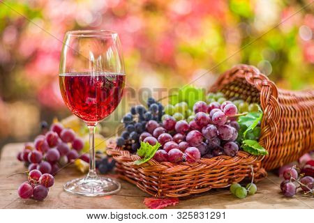 Autumn still life with ripe different grape varieties and wine glass. Behind the beautiful autumn bokeh.