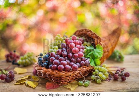 Autumn still life with ripe different grape varieties. Behind the beautiful autumn bokeh.