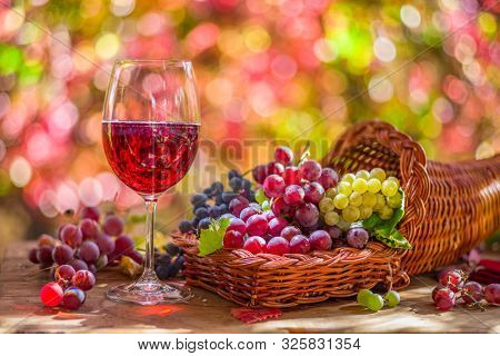 Autumn still life with ripe different grape varieties and wine glass. Behind the beautiful autumn bokeh.