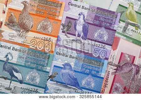Gambian Dalasi A Business Background With Money