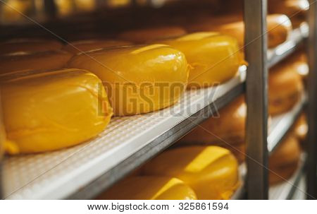 Cheese in a storage room