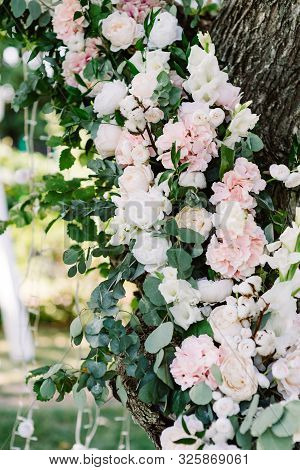 Beautiful And Gentle Flowers Decorate The Trunk Of A Living Tree In The Garden For A Solemn Wedding 