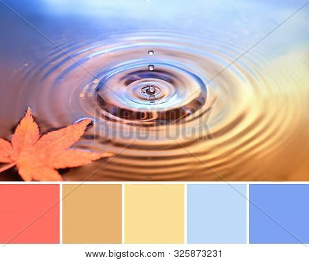 Color Matching Autumn Palette From Image Of Dry Marple Leaf On Water Surface, Rings From Water Drops