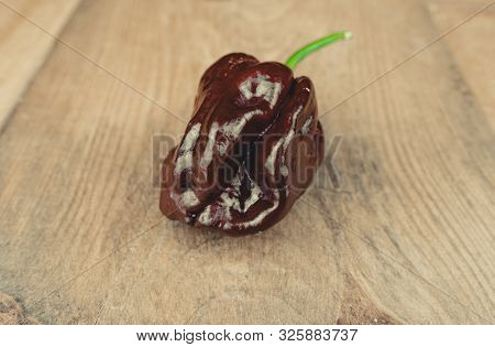 Photo Of Chocolate Habanero Pepper (capsicum Chinense) On A Wooden Table. Chocolate Brown Hot Chili 