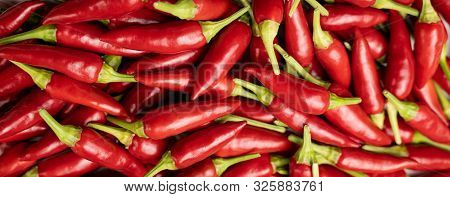 Pile Of Fresh And Ripe Red Hot Chili. Top View. Chili Saltillo (capsicum Annum)