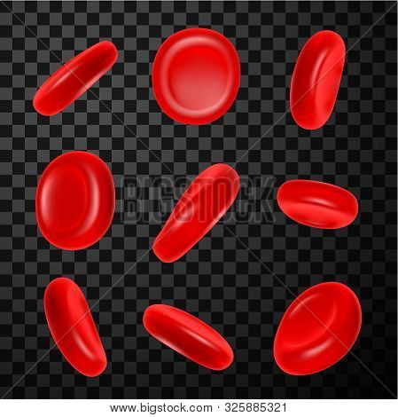 Red Blood Cells Realistic Vector Illustrations Set