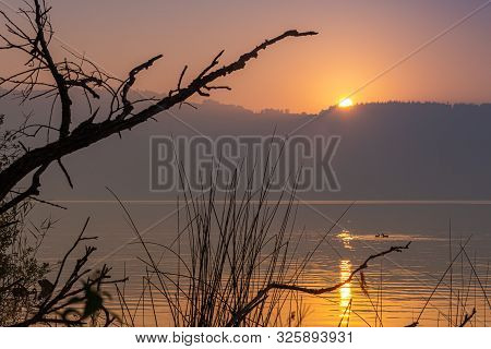 Magical Morning Sunrise Over The Lake In The Fog And Silhouettes Of Ducks.