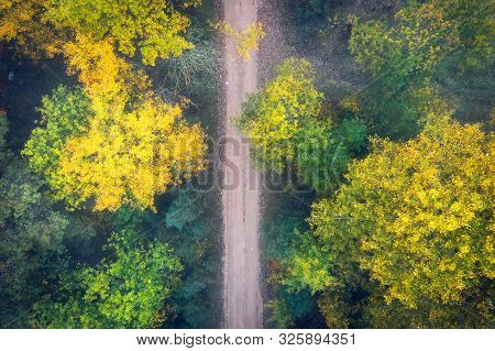 Road In Autumn Forest Aerial View. Top View On Footpath Through Yellow And Green Trees In Fall Fores