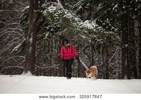 Portrait With A Cute Fluffy Puppy. Winter Walk With A Dog. Young Woman Walks With The Puppy, Snowy W