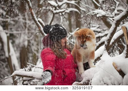 Portrait With A Cute Fluffy Puppy. Winter Walk With A Dog. Young Woman Walks With The Puppy, Snowy W