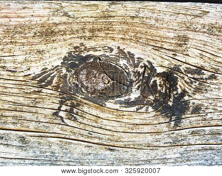 The Structure Of Piece Of Wood. Shot From Close View.