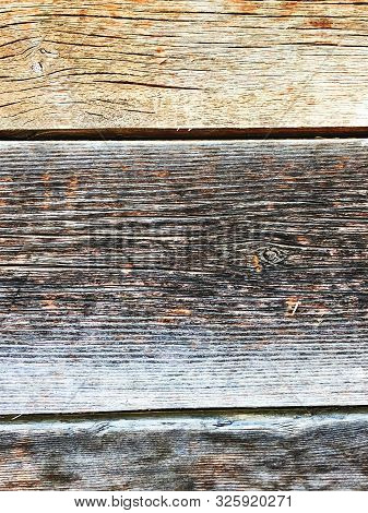 The Structure Of Piece Of Wood. Shot From Close View.