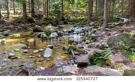 View Of Szklarka River In A Forest In Giant Mountains, Poland