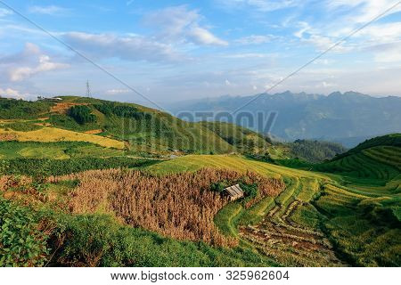 Beautiful Landscape Of Rice Field Terraces In Ta Xua Mountain. Royalty High Quality Stock Image Of R