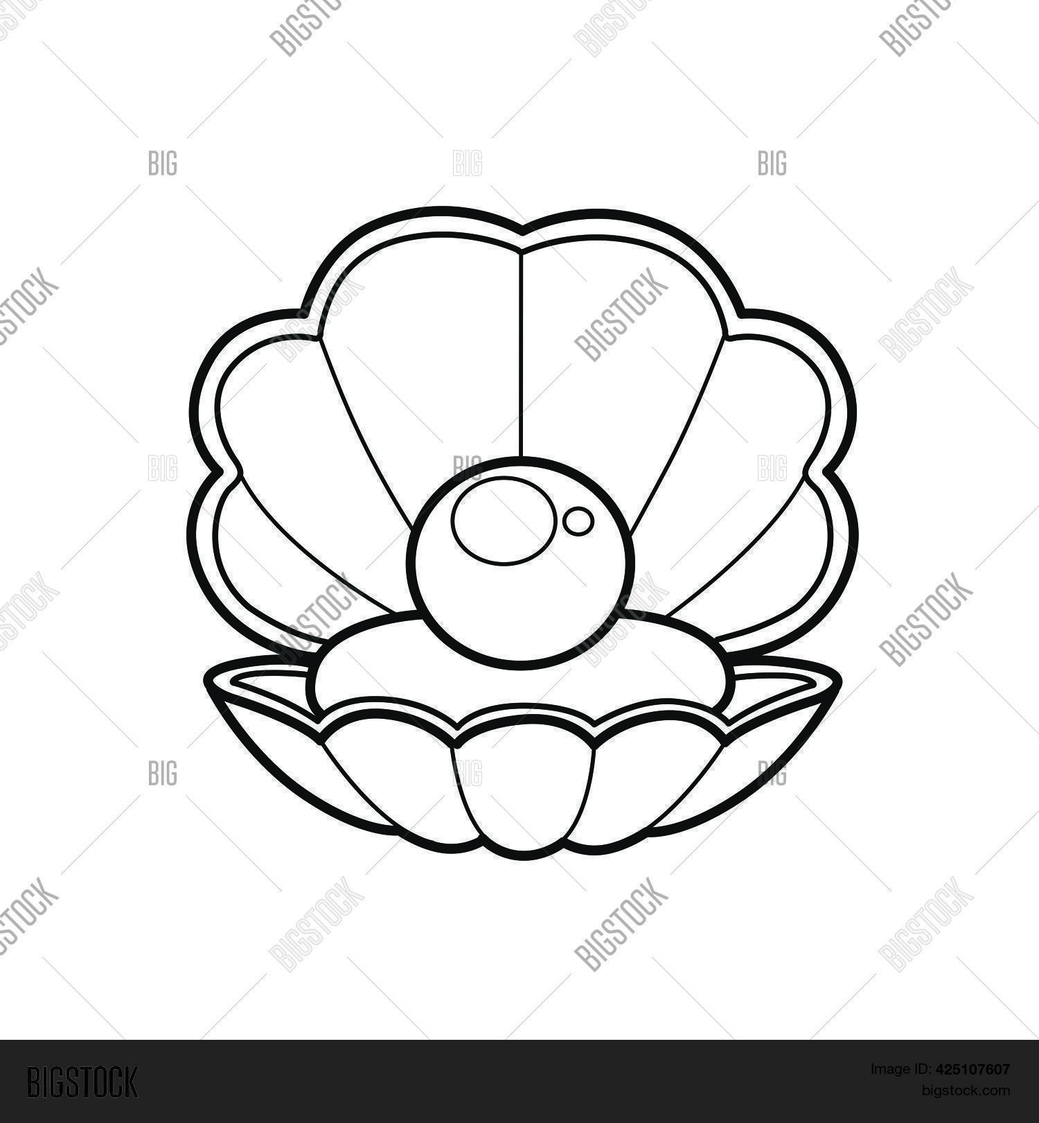 Open Shell Pearl Vector &amp; Photo (Free Trial) | Bigstock