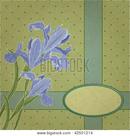 Blueflag cornice floreale