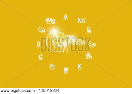 Stylized Clockface With Essential Vitamins And Microelements For Human Health, Hand Drawn Human Panc
