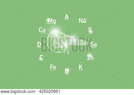 Stylized Clockface With Essential Vitamins And Microelements For Human Health, Hand Drawn Human Panc