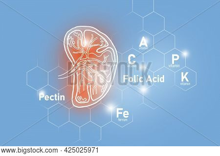 Essential Nutrients For Spleen Health Including Pectin, Folic Acid, Vitamin P, Ferrum.
Design Set Of