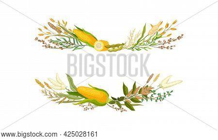 Agricultural Composition With Different Spikelet And Grain Crop Like Corn And Wheatear Vector Set