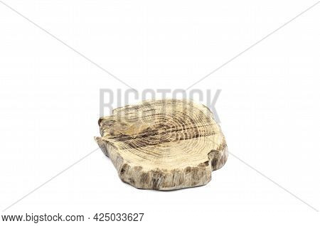 Wooden Oak Saw Cut. Slice. Cup Holder. On White Background.