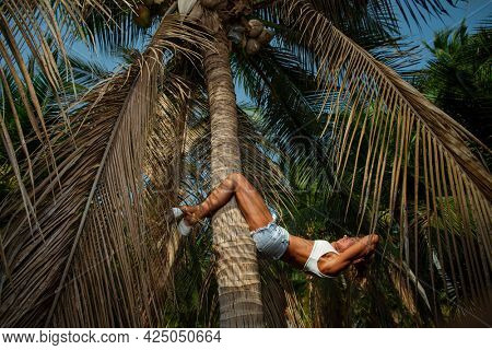Girl shakes the press on the trunk of a palm tree in a palm grove