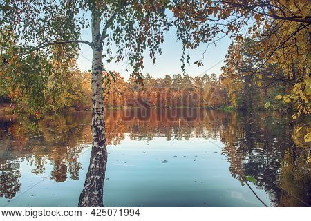 View Of The Lake With Autumn Yellow And Green Trees And Blue Sky, Natural Seasonal Background