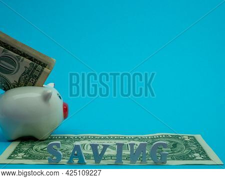 A Piggy Bank With A Dollar Stands On A Dollar, Blue Background.