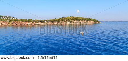 Kinaliada, Turkey - September 15, 2017: These Are Seagulls Flying Over The Sea Off The Coast Of The 