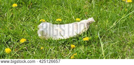 Used Plastic Bottle On The Grass. Waste Plastic Contamination. Recycling Of Plastics.